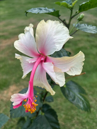 Send your best photos from Maui County to mauiphotos@mauinews.com for a chance to see them featured on our website and in our weekly print edition.